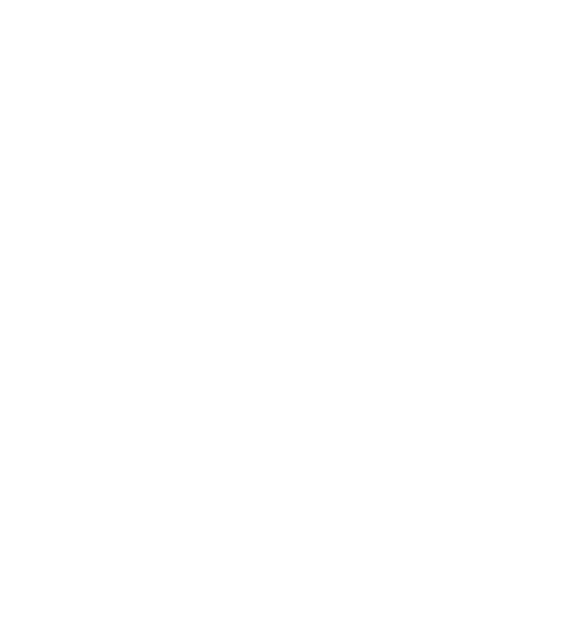 TurboSul